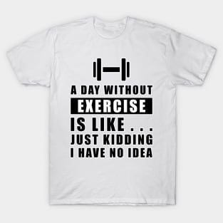 A day without Exercise is like.. just kidding i have no idea T-Shirt